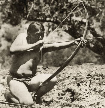 fig.2