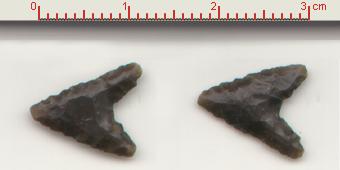 fig.1