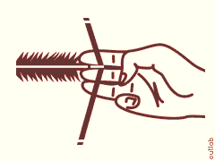 fig.2