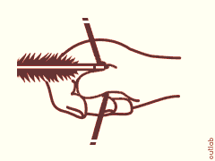 fig.3